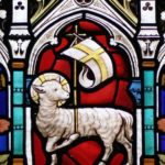 Mehr über den Artikel erfahren 144000