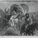 Mehr über den Artikel erfahren Auf Pionierpfaden