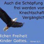 Mehr über den Artikel erfahren Flüchten oder Standhalten?