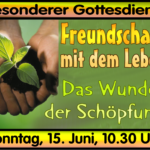 Read more about the article Das Wunder der Schöpfung