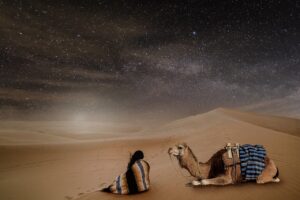 Sternenhimmel in der Wüste